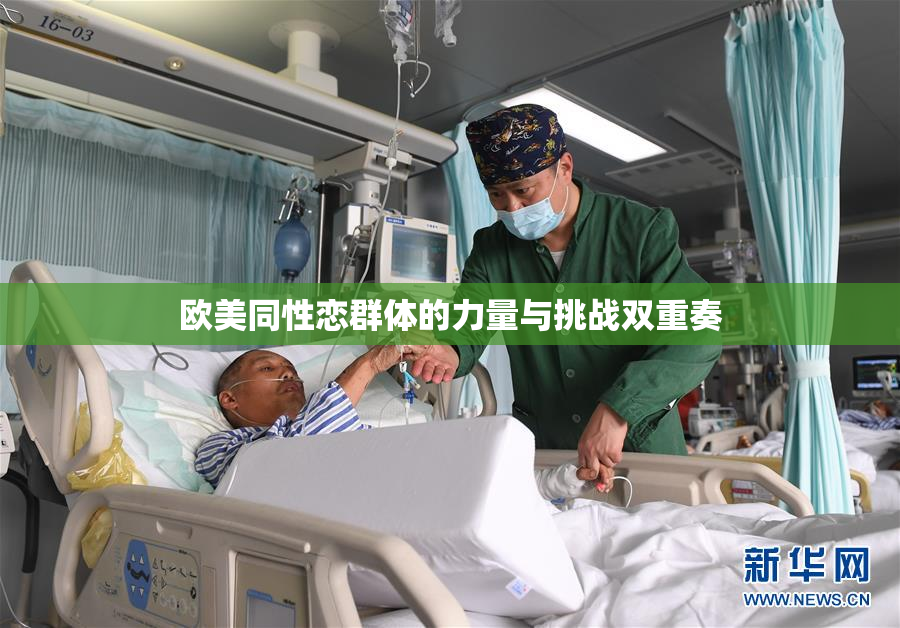 欧美同性恋群体的力量与挑战双重奏