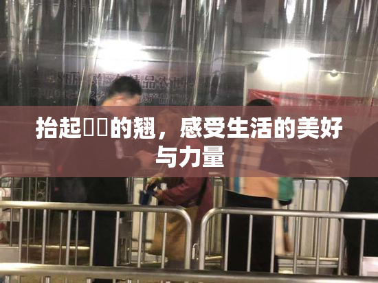 抬起妺妺的翘，感受生活的美好与力量