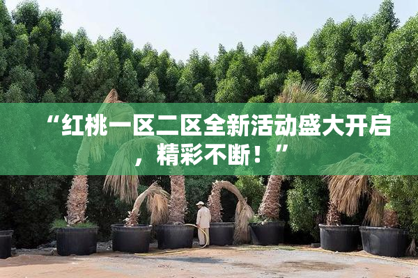 “红桃一区二区全新活动盛大开启，精彩不断！”
