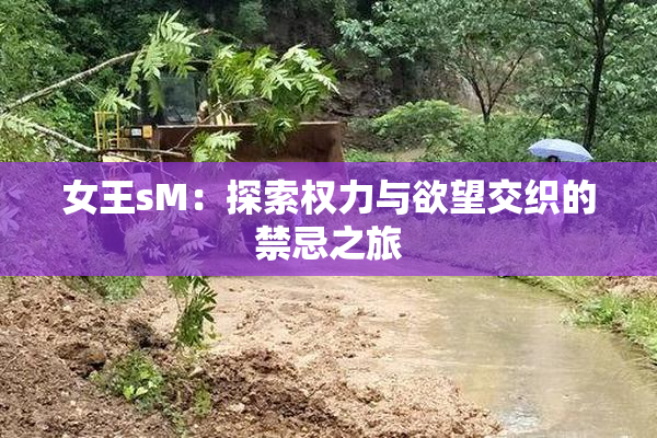 女王sM：探索权力与欲望交织的禁忌之旅