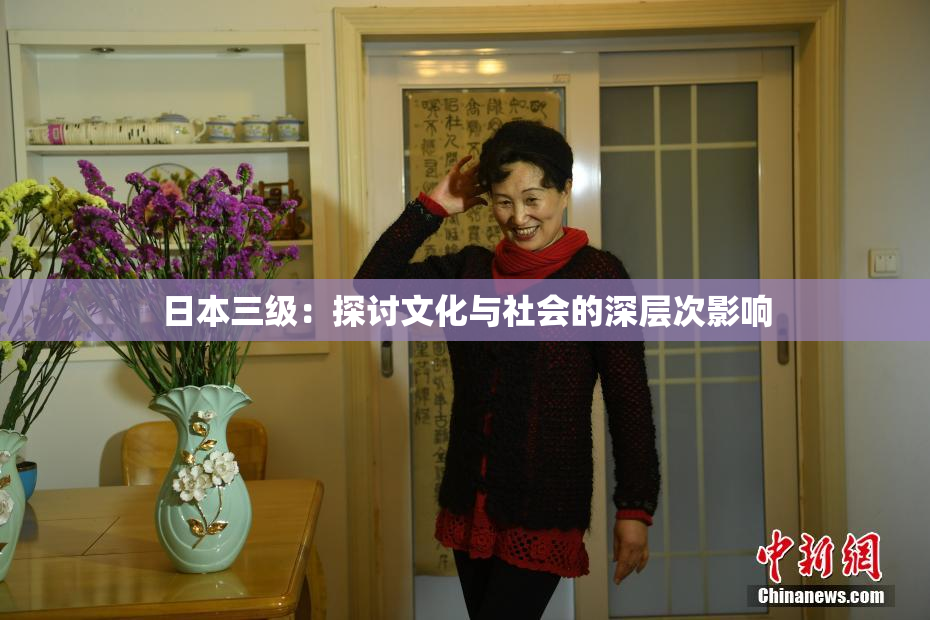 日本三级：探讨文化与社会的深层次影响