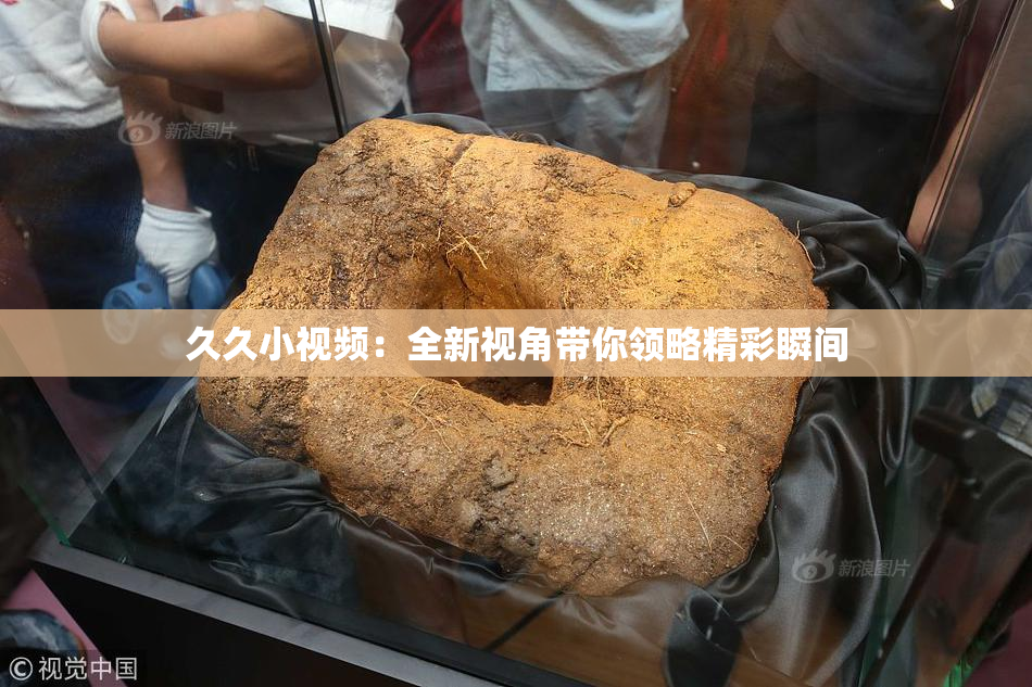 久久小视频：全新视角带你领略精彩瞬间