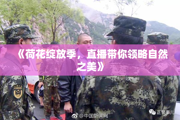 《荷花绽放季，直播带你领略自然之美》