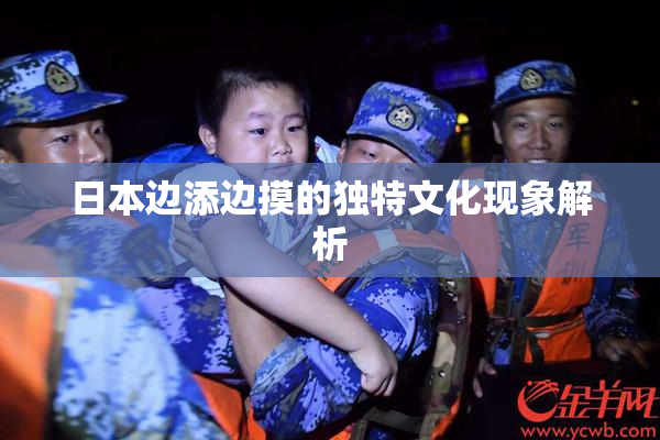 日本边添边摸的独特文化现象解析