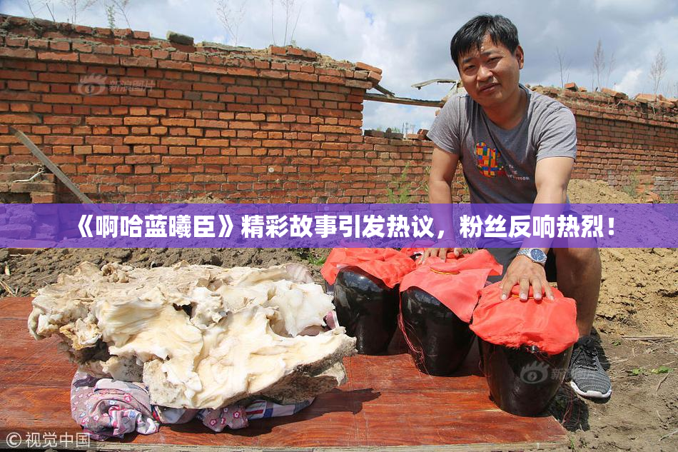 《啊哈蓝曦臣》精彩故事引发热议，粉丝反响热烈！