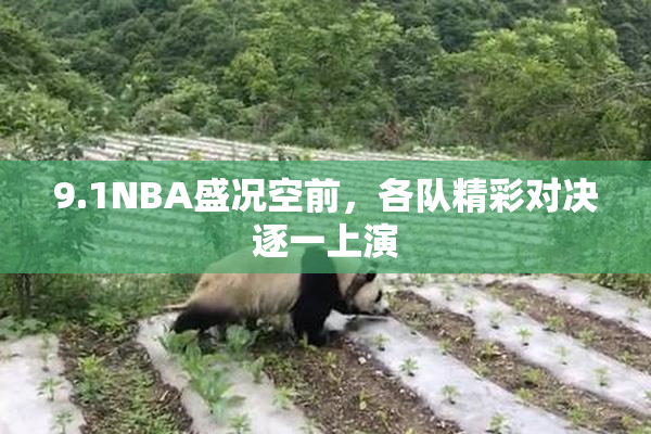 9.1NBA盛况空前，各队精彩对决逐一上演