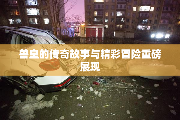 兽皇的传奇故事与精彩冒险重磅展现