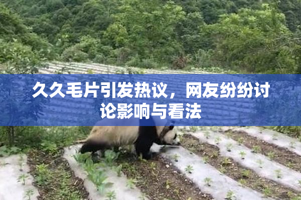 久久毛片引发热议，网友纷纷讨论影响与看法