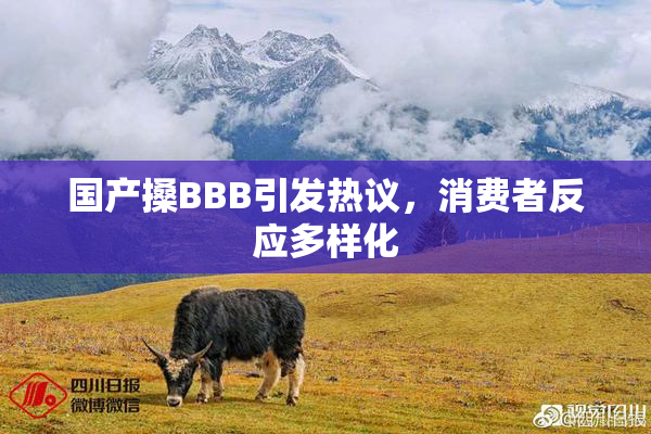 国产搡BBB引发热议，消费者反应多样化