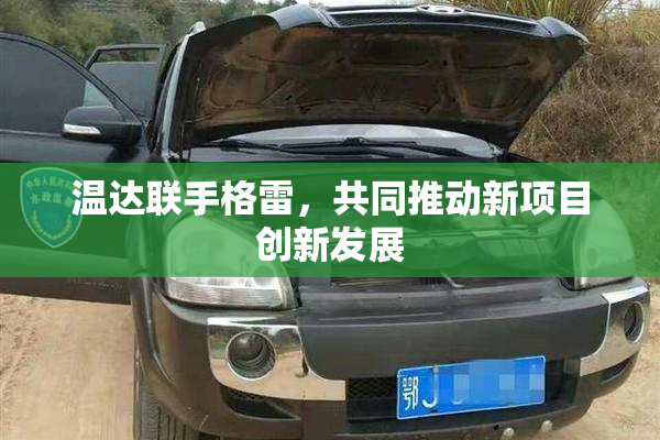 温达联手格雷，共同推动新项目创新发展