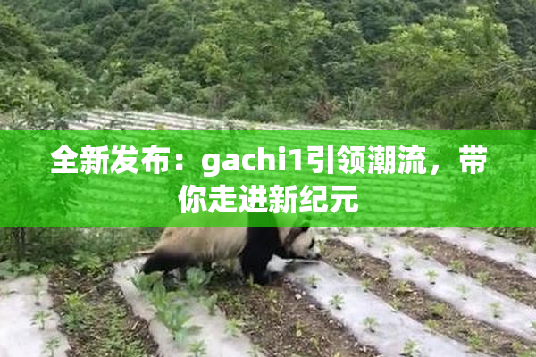 全新发布：gachi1引领潮流，带你走进新纪元