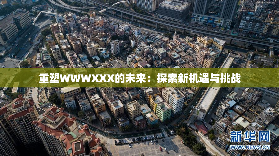 重塑WWWXXX的未来：探索新机遇与挑战