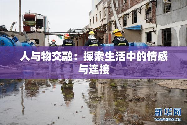 人与物交融：探索生活中的情感与连接