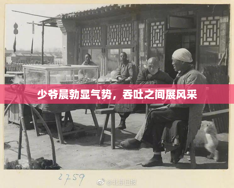 少爷晨勃显气势，吞吐之间展风采