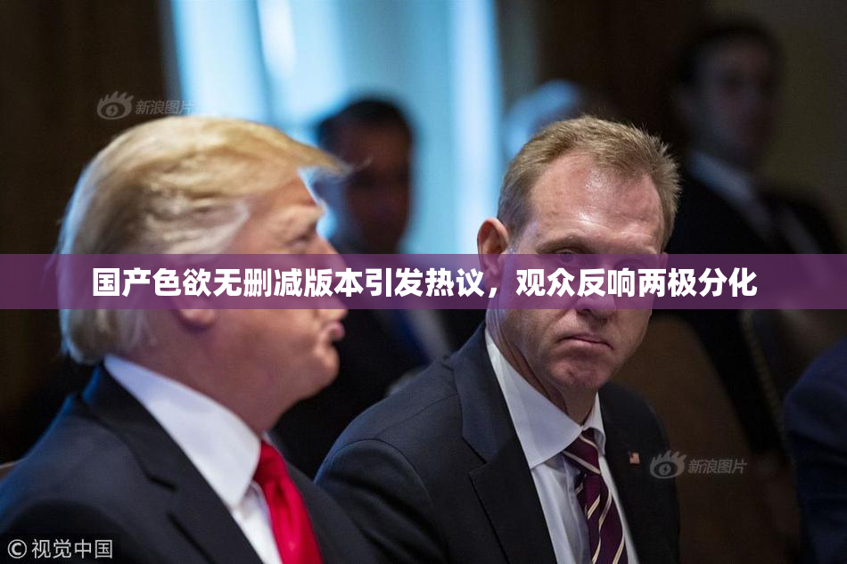 国产色欲无删减版本引发热议，观众反响两极分化