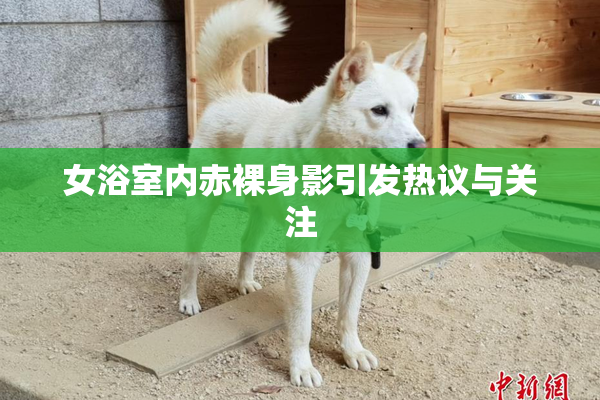 女浴室内赤裸身影引发热议与关注