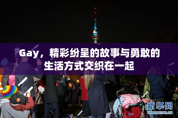 Gay，精彩纷呈的故事与勇敢的生活方式交织在一起