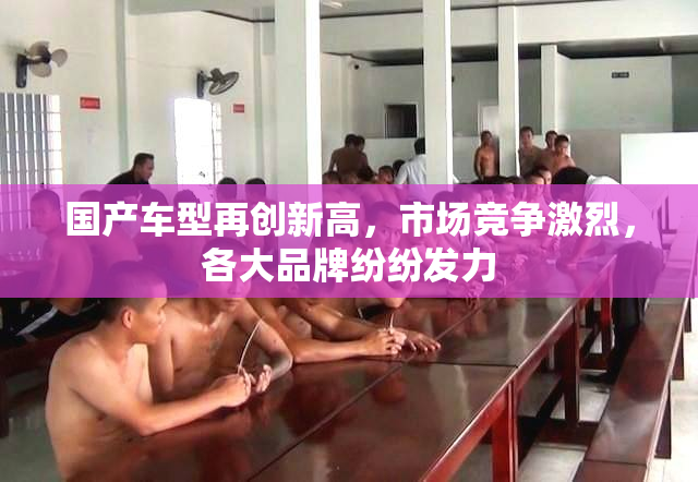 国产车型再创新高，市场竞争激烈，各大品牌纷纷发力
