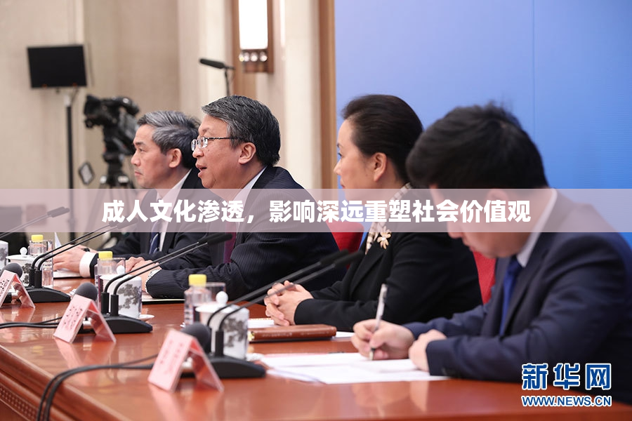 成人文化渗透，影响深远重塑社会价值观