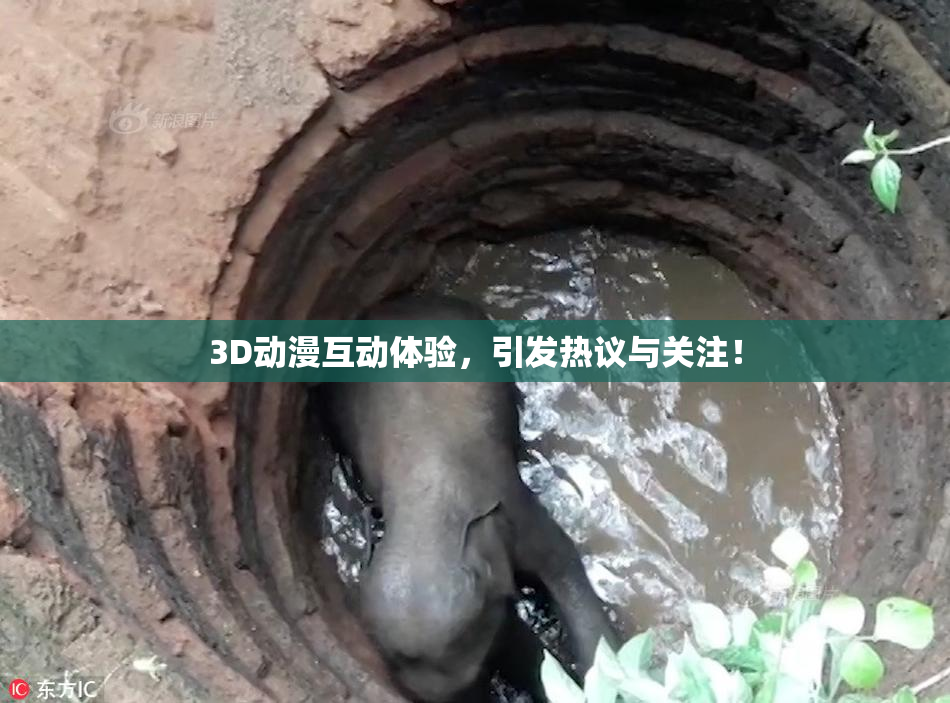 3D动漫互动体验，引发热议与关注！
