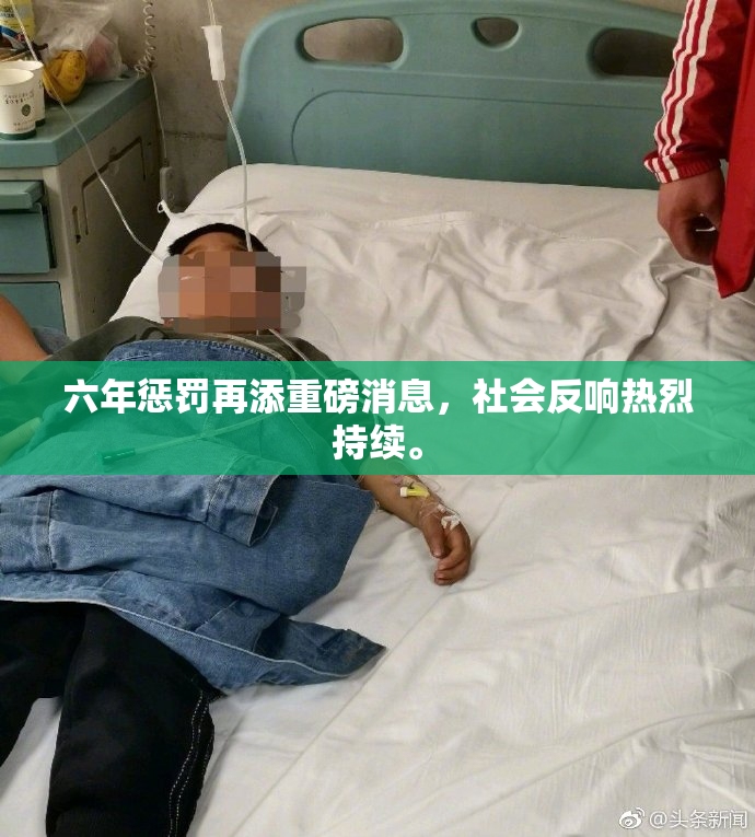 六年惩罚再添重磅消息，社会反响热烈持续。