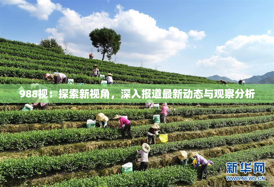 988视：探索新视角，深入报道最新动态与观察分析