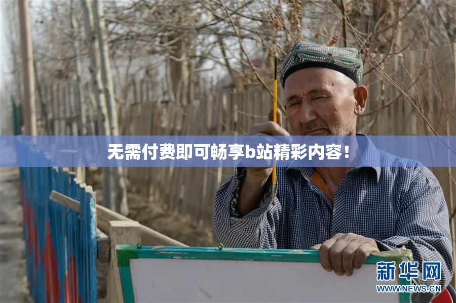 无需付费即可畅享b站精彩内容！