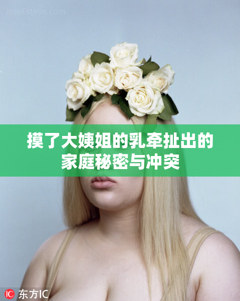 摸了大姨姐的乳牵扯出的家庭秘密与冲突
