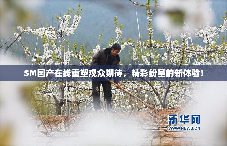 SM国产在线重塑观众期待，精彩纷呈的新体验！