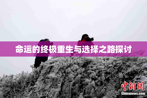 命运的终极重生与选择之路探讨