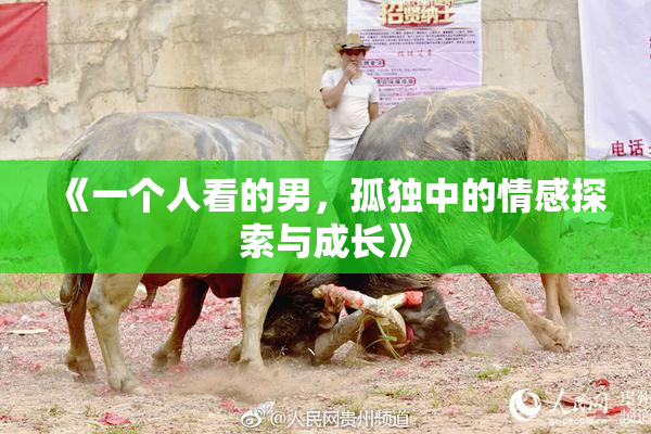 《一个人看的男，孤独中的情感探索与成长》