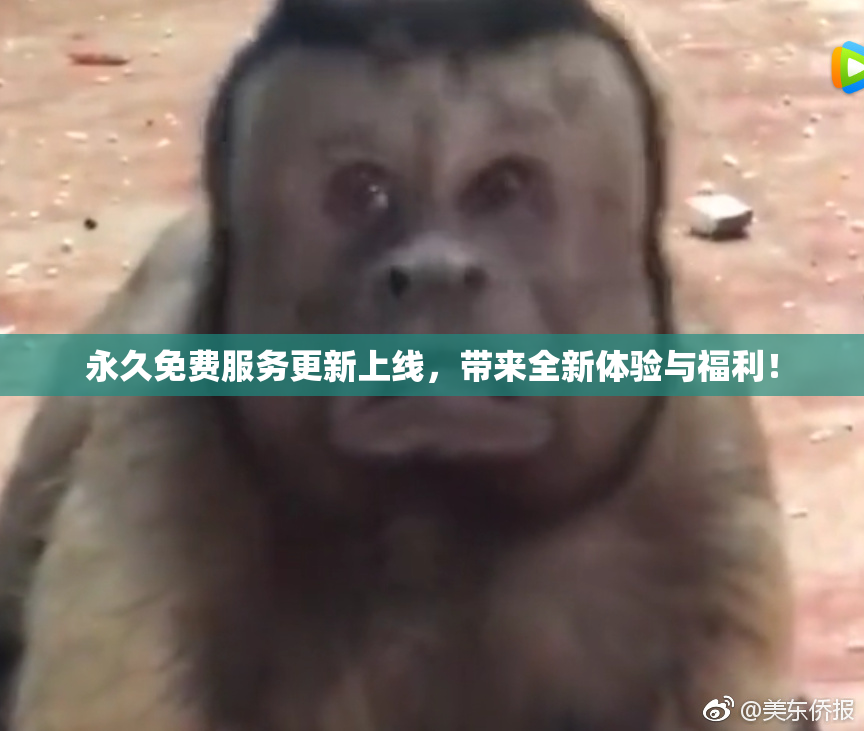 永久免费服务更新上线，带来全新体验与福利！