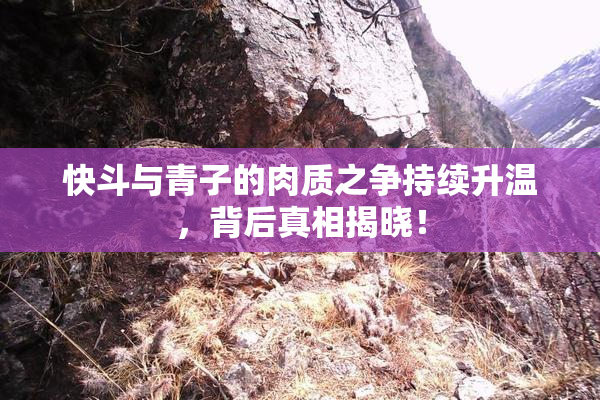 快斗与青子的肉质之争持续升温，背后真相揭晓！