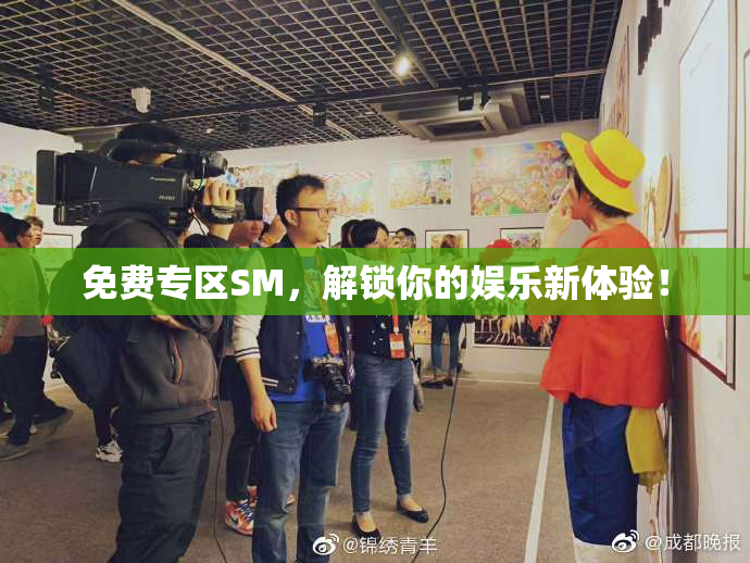 免费专区SM，解锁你的娱乐新体验！