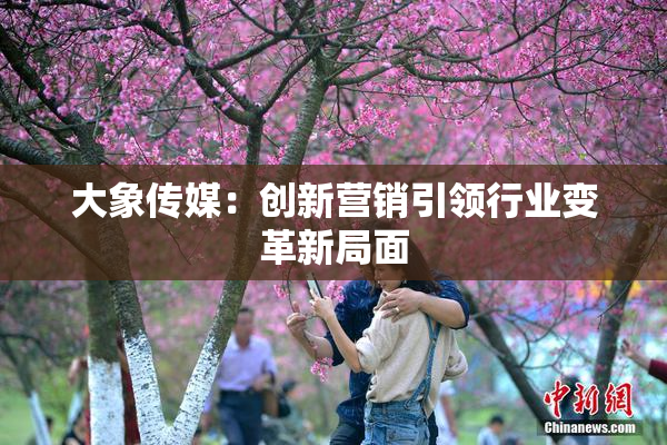 大象传媒：创新营销引领行业变革新局面