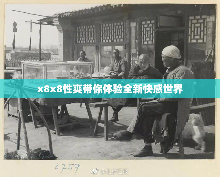 x8x8性爽带你体验全新快感世界