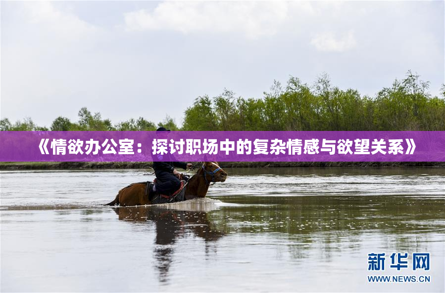 《情欲办公室：探讨职场中的复杂情感与欲望关系》