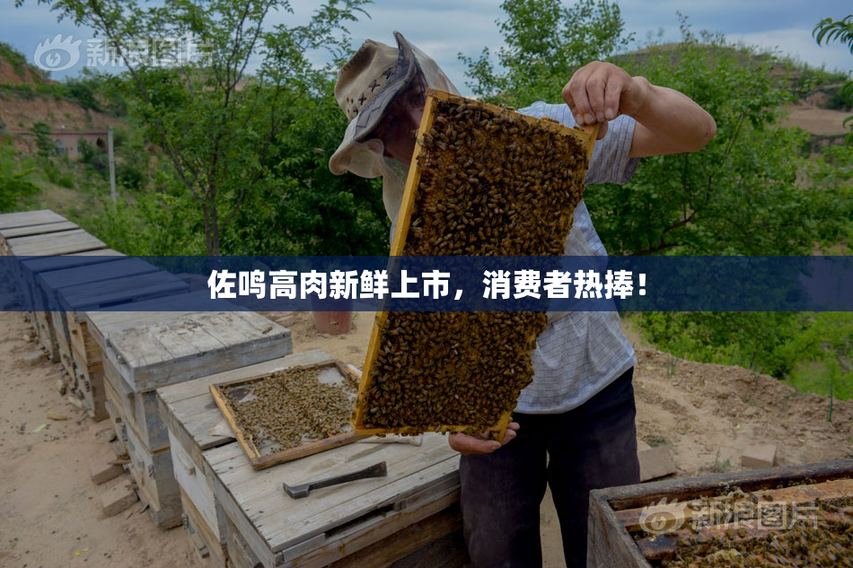 佐鸣高肉新鲜上市，消费者热捧！