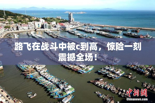 路飞在战斗中被c到高，惊险一刻震撼全场！