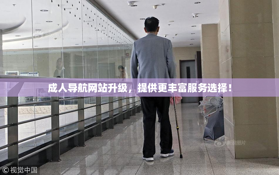 成人导航网站升级，提供更丰富服务选择！