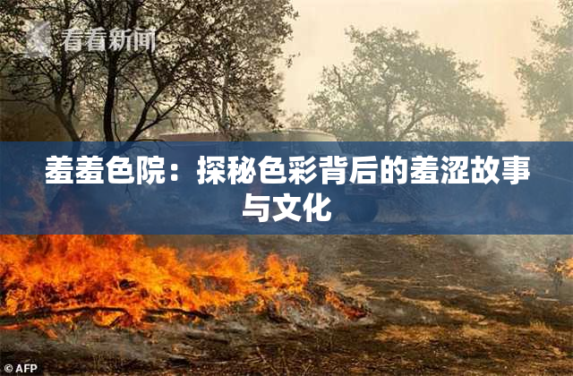 羞羞色院：探秘色彩背后的羞涩故事与文化
