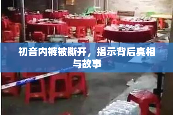 初音内裤被撕开，揭示背后真相与故事