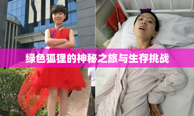 绿色狐狸的神秘之旅与生存挑战