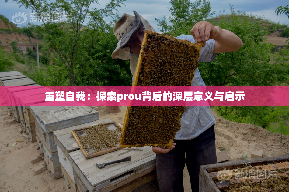 重塑自我：探索prou背后的深层意义与启示