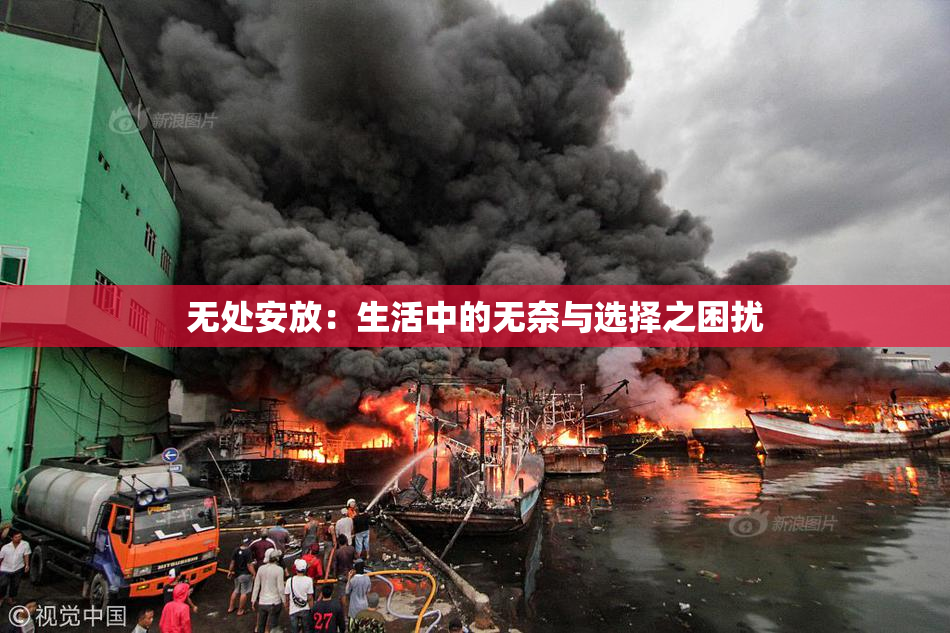 无处安放：生活中的无奈与选择之困扰