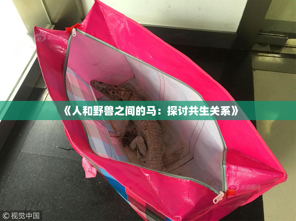 《人和野兽之间的马：探讨共生关系》