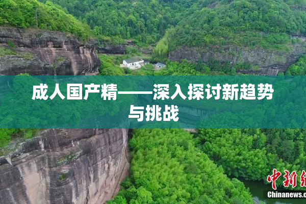 成人国产精——深入探讨新趋势与挑战