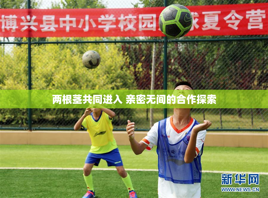 两根茎共同进入 亲密无间的合作探索