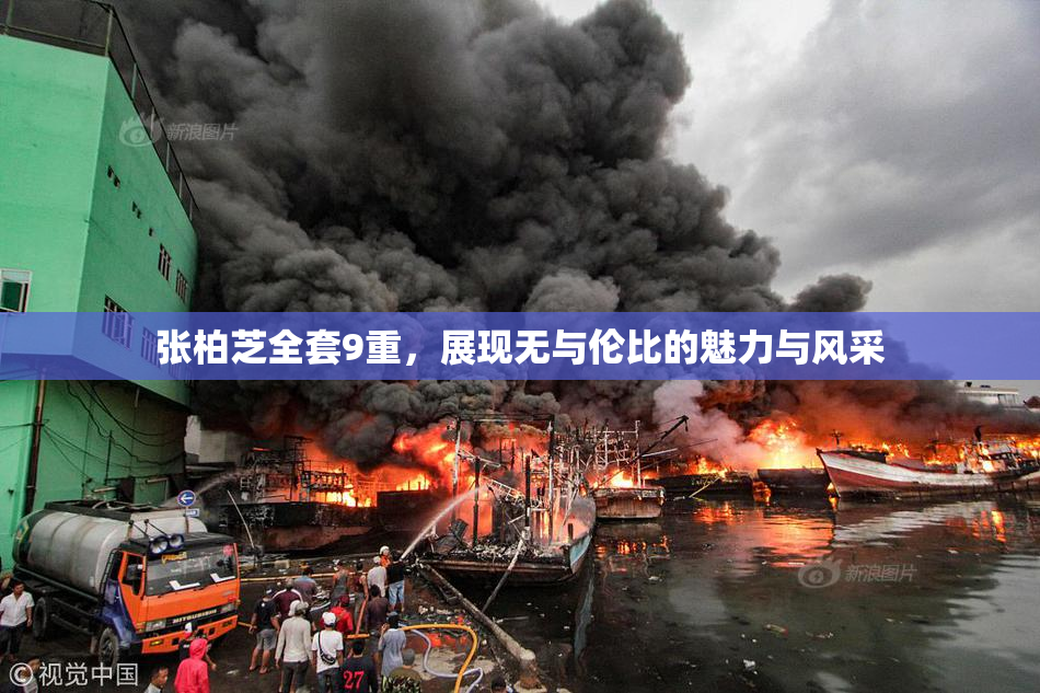 张柏芝全套9重，展现无与伦比的魅力与风采