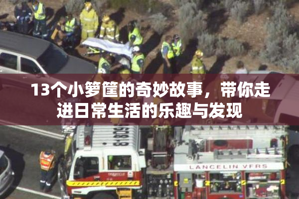 13个小箩筐的奇妙故事，带你走进日常生活的乐趣与发现